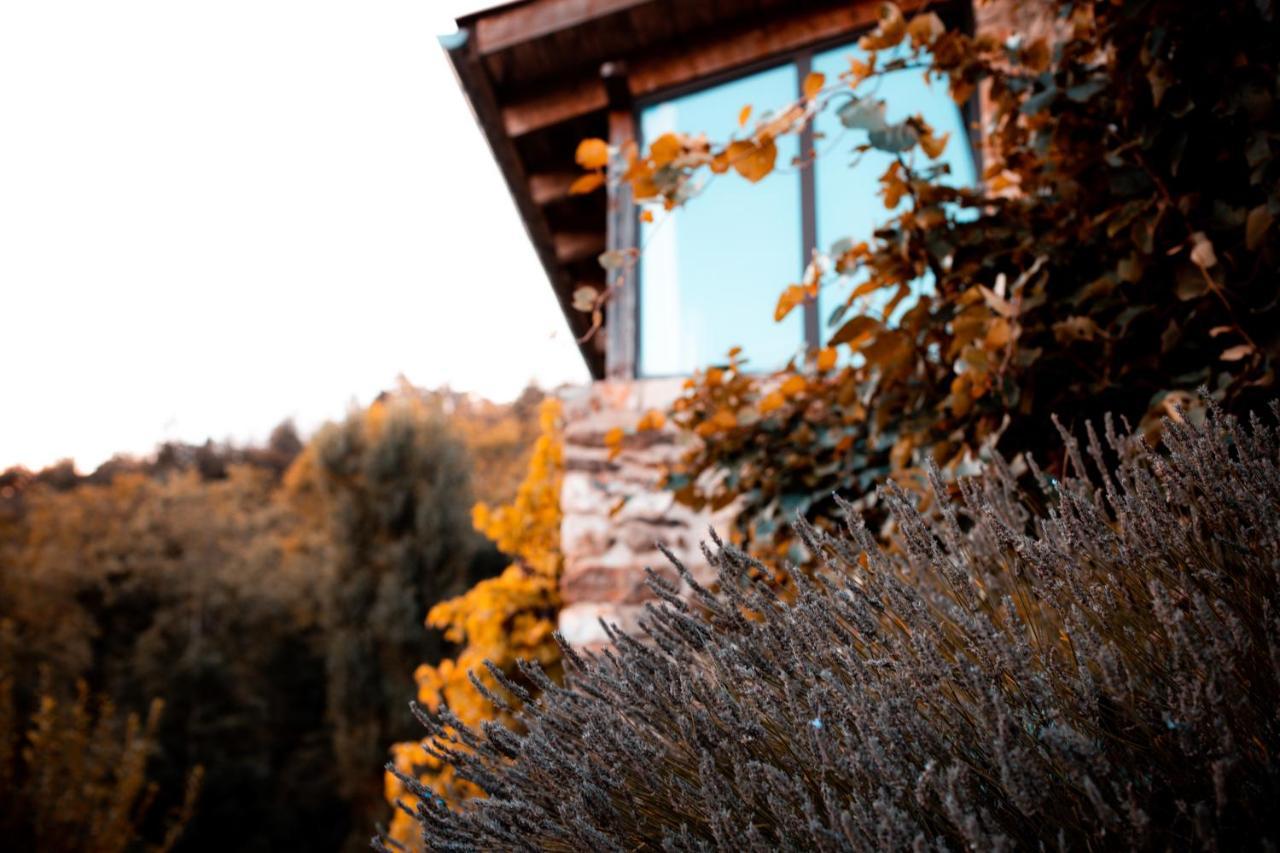 Maison D'Hotes Le Hameau De La Mure Saint-Laurent-du-Pape Buitenkant foto