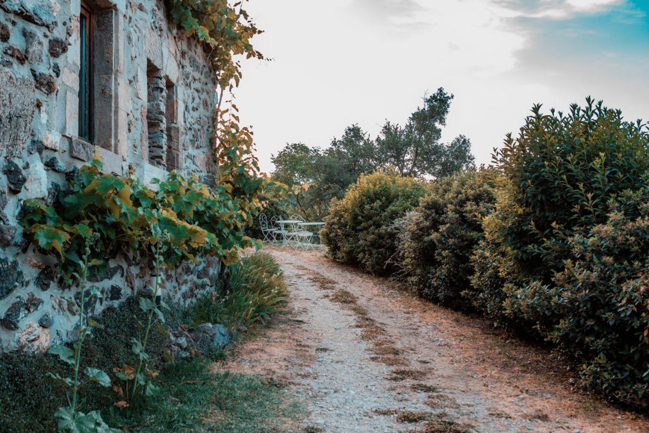 Maison D'Hotes Le Hameau De La Mure Saint-Laurent-du-Pape Buitenkant foto