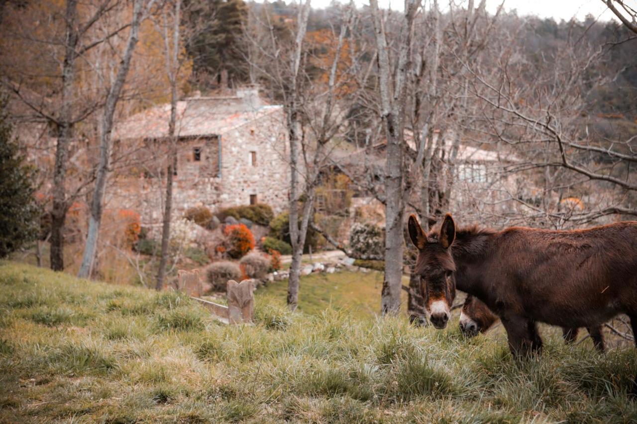 Maison D'Hotes Le Hameau De La Mure Saint-Laurent-du-Pape Buitenkant foto