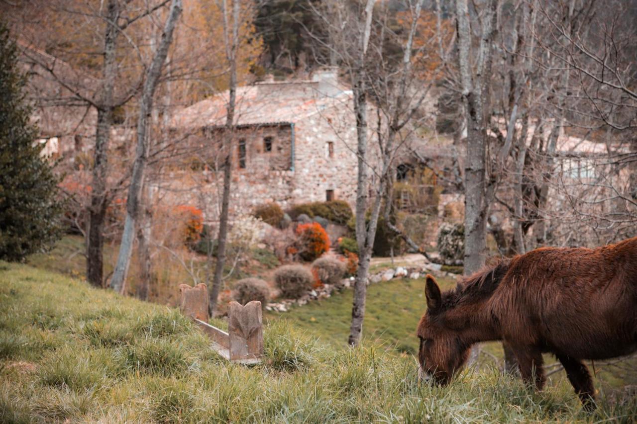 Maison D'Hotes Le Hameau De La Mure Saint-Laurent-du-Pape Buitenkant foto