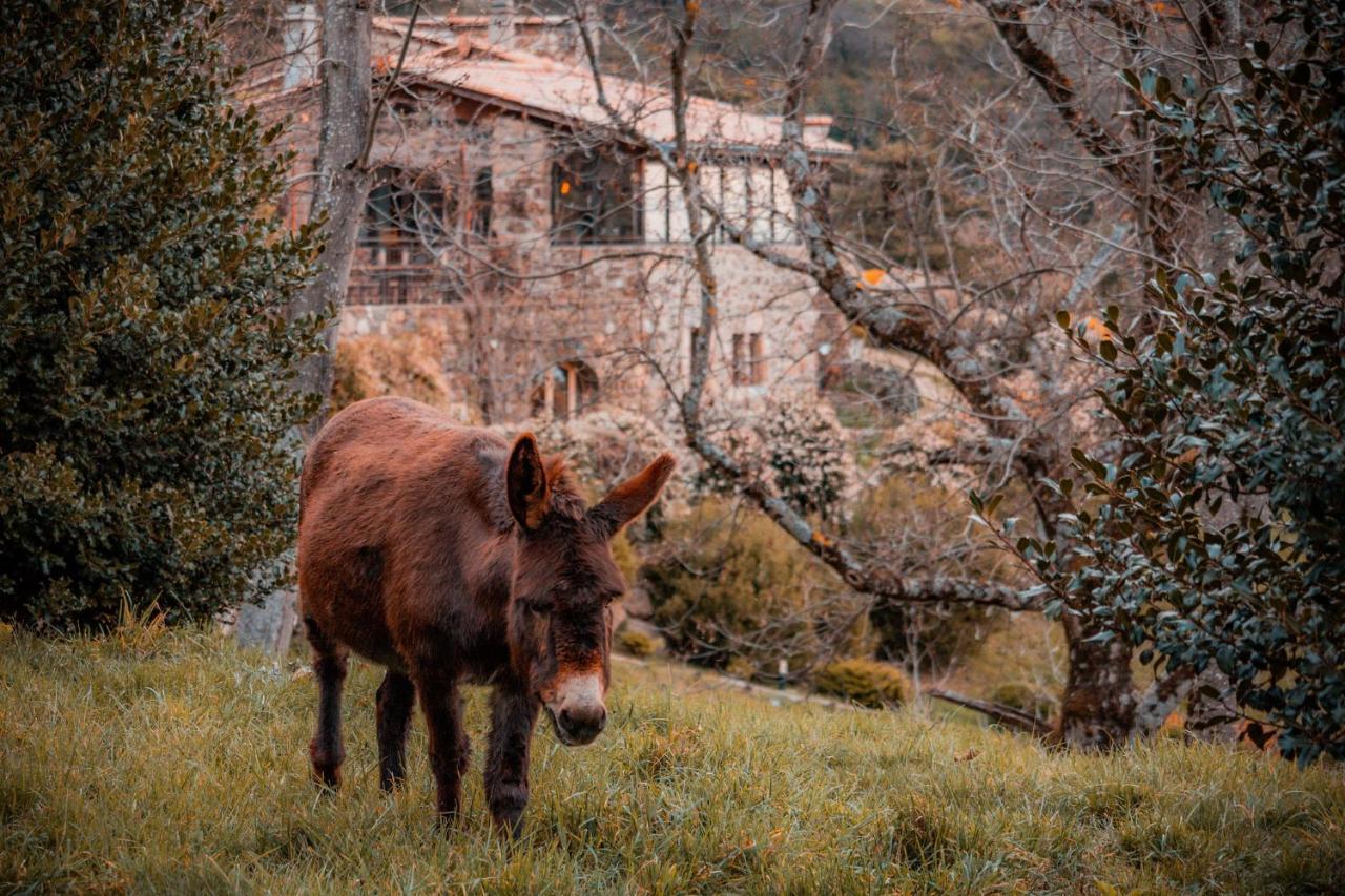 Maison D'Hotes Le Hameau De La Mure Saint-Laurent-du-Pape Buitenkant foto